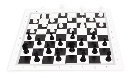 Шахматы "Рыжий кот" 28,5 х28,5 классические+ поле, в пакете 